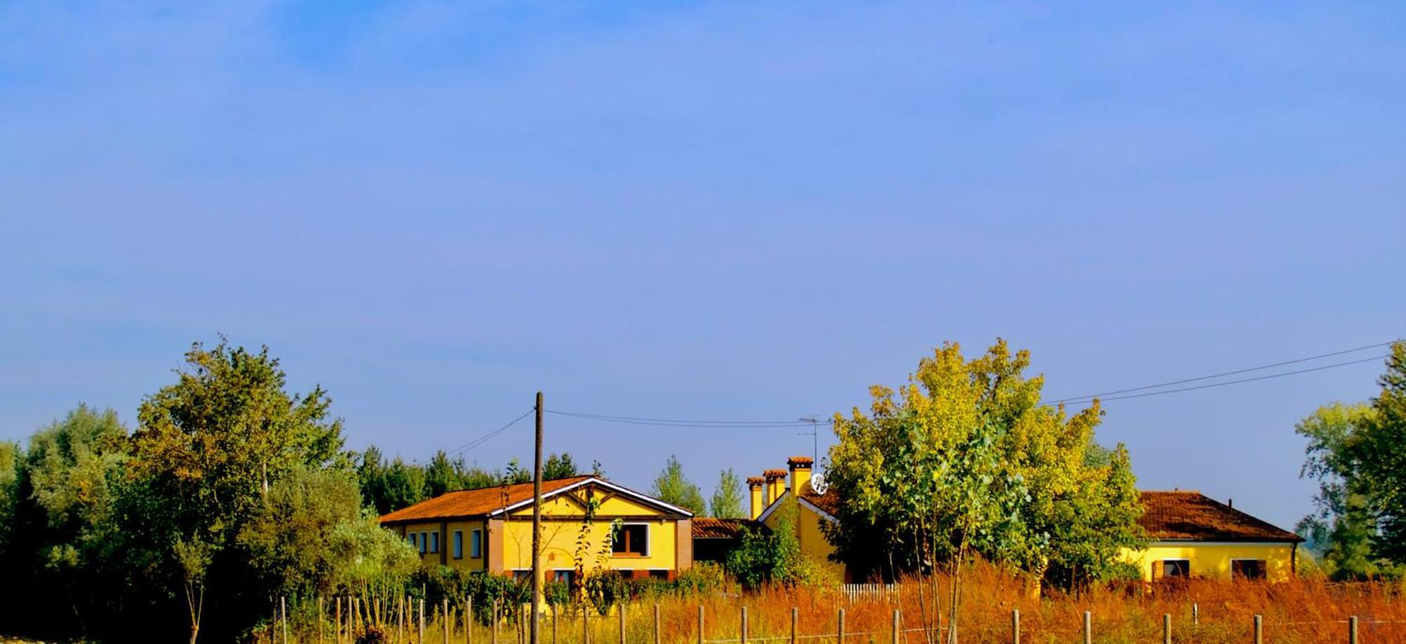 Ca' Leone - Regina Vittoria - Apartment With Pool Mira Exterior photo