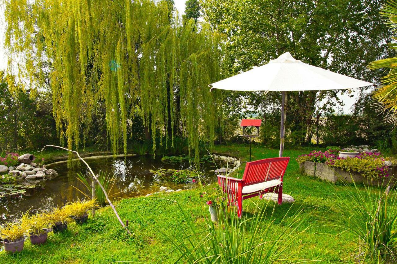 Ca' Leone - Regina Vittoria - Apartment With Pool Mira Exterior photo